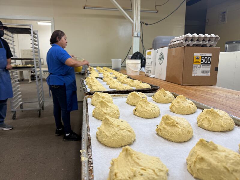 Photo of a baker surrounded by dough on baking trays.
