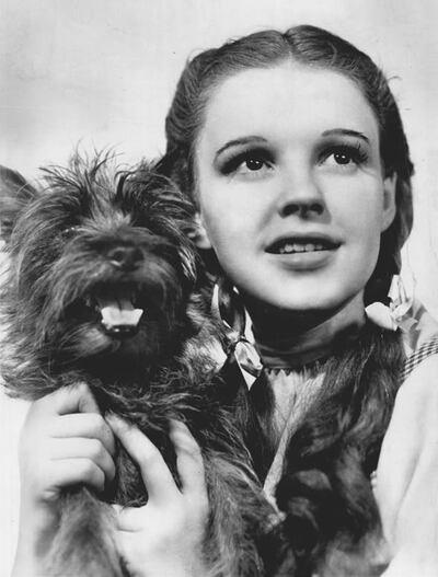 [Dorothy, played by Judy Garland, holds her dog, Toto.]