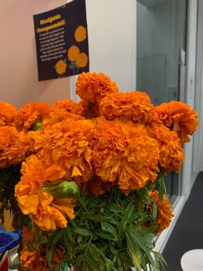 photo of cempasúchil bouquet, widely known as marigolds
