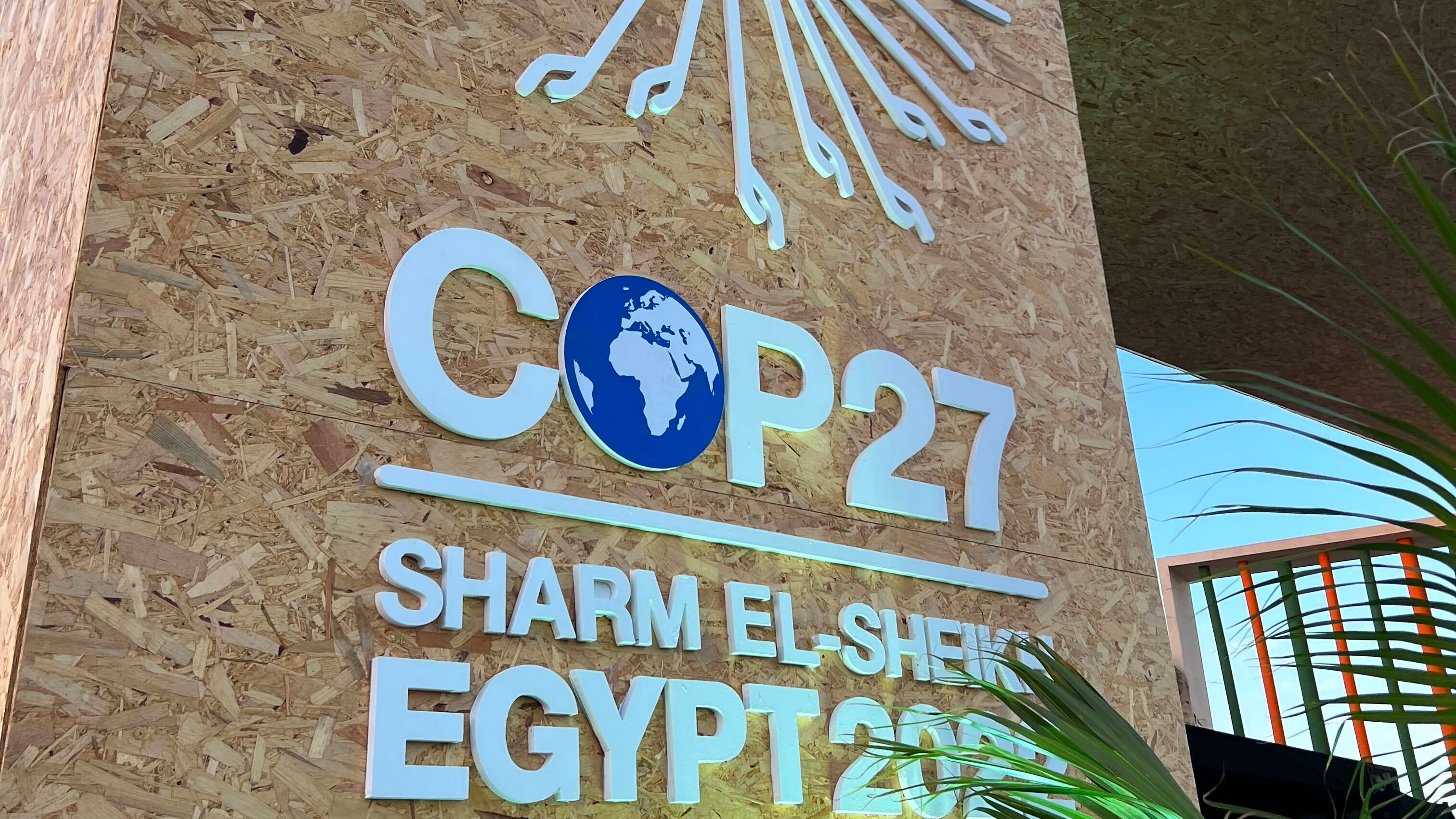 DESCRIBE THE IMAGE FOR ACCESSIBILITY, EXAMPLE: Photo of a chef putting red sauce onto an omelette.