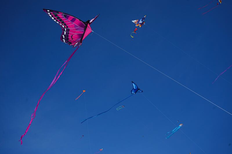 USC Annenberg Media photographs of the 48th annual LA Festival of the Kite