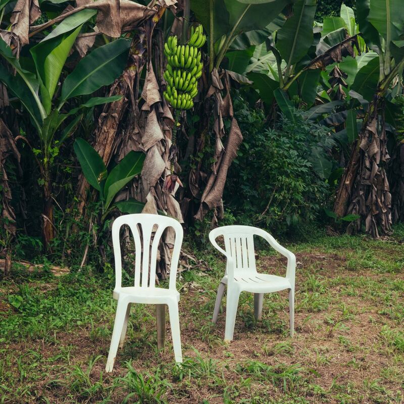 Photo of two plastic chairs side by side outside. In the background trees and a banana bushel can be seen.
