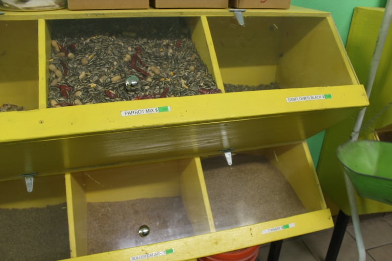 Photo of bird seed in bright yellow containers.