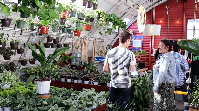 "A photo of two customers chatting near the plants at The Plant Chica nursery."