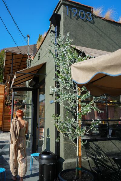 DESCRIBE THE IMAGE FOR ACCESSIBILITY, EXAMPLE: Photo of a chef putting red sauce onto an omelette.