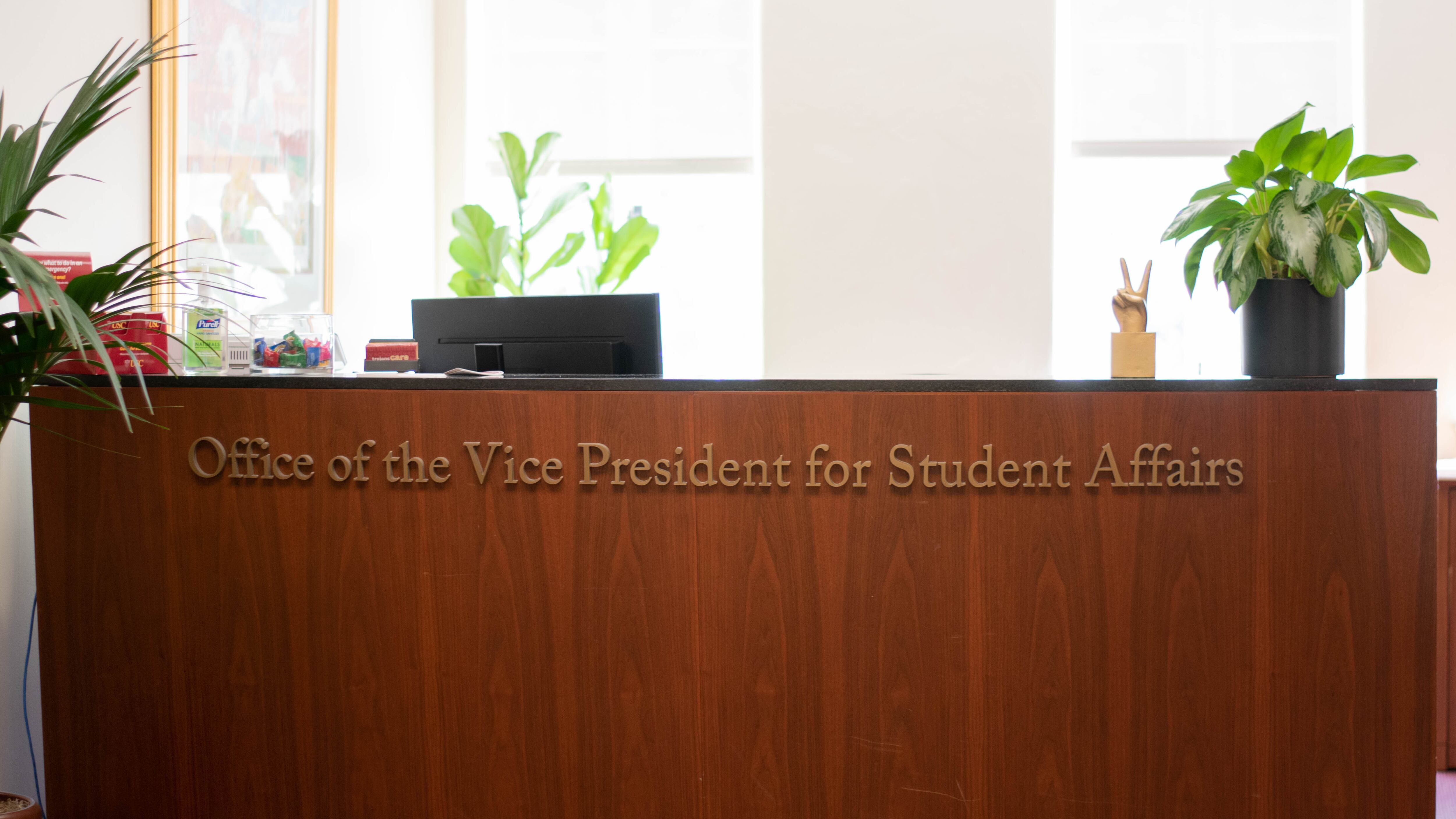 DESCRIBE THE IMAGE FOR ACCESSIBILITY, EXAMPLE: Photo of a chef putting red sauce onto an omelette.