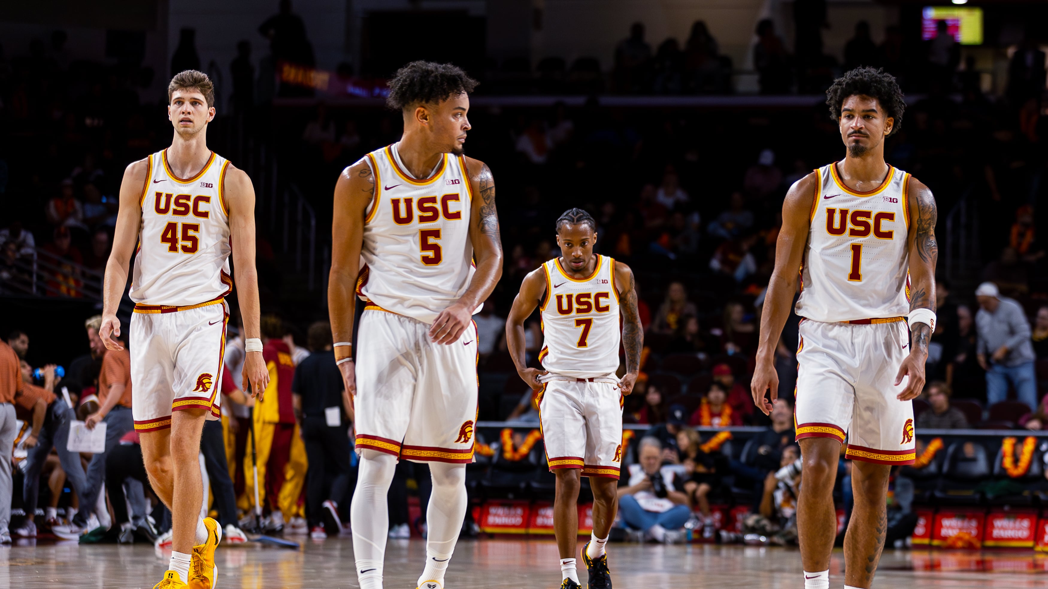 DESCRIBE THE IMAGE FOR ACCESSIBILITY, EXAMPLE: Photo of a chef putting red sauce onto an omelette.