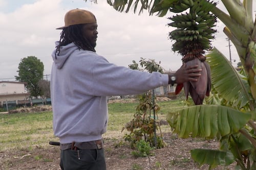 Mudtown Farms: The road to food security