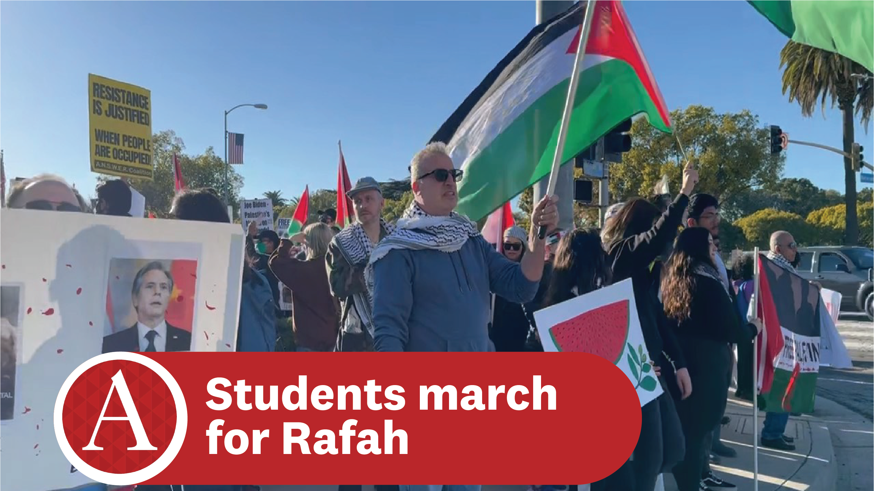 Photo of people holding flags and placards.