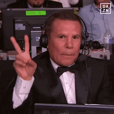 Giphy of Julio César Chávez