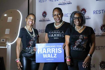 DESCRIBE THE IMAGE FOR ACCESSIBILITY, EXAMPLE: Photo of a chef putting red sauce onto an omelette.