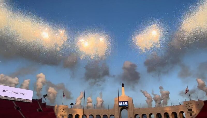 the firework blooming in the sky
