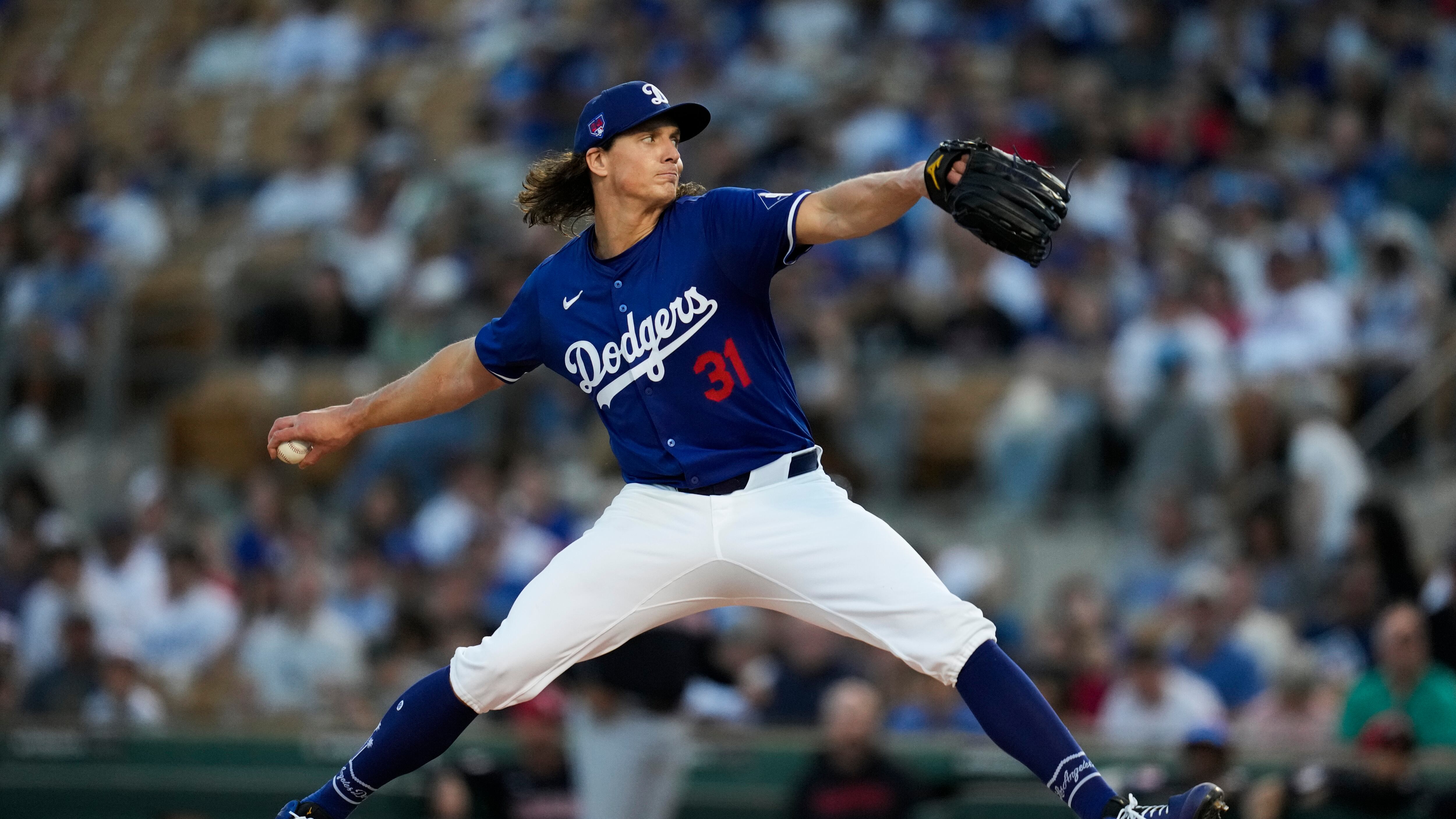 DESCRIBE THE IMAGE FOR ACCESSIBILITY, EXAMPLE: Photo of a chef putting red sauce onto an omelette.