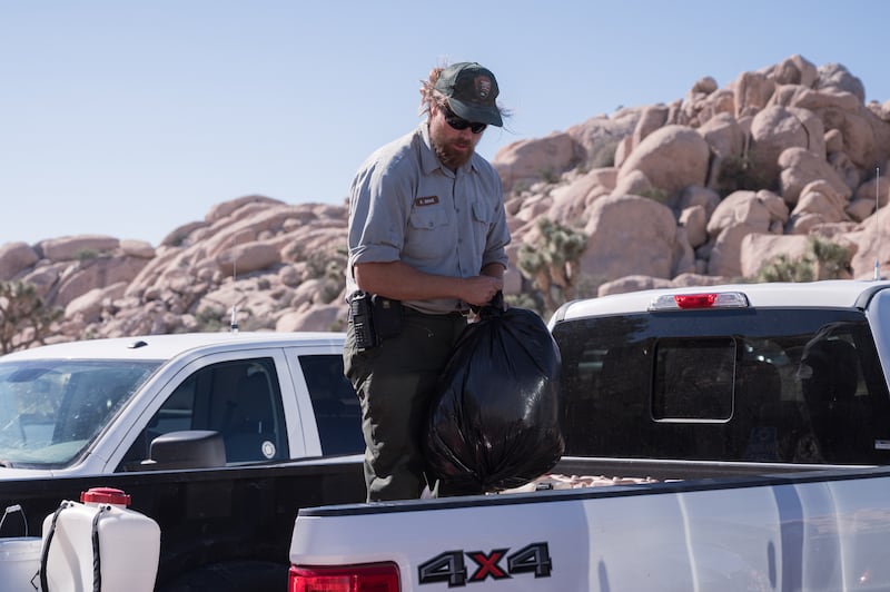 Karl Miraz, a Park Ranger in Joshua Tree National Park, loads a bag of trash onto a pickup truck. Volunteers picked up 3,500 pounds of trash during the event. (Photo by Michael Chow)