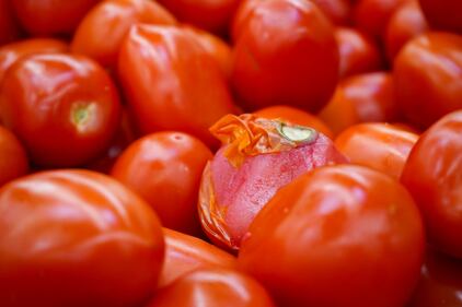 Spoiled tomatoes at Food 4 Less.