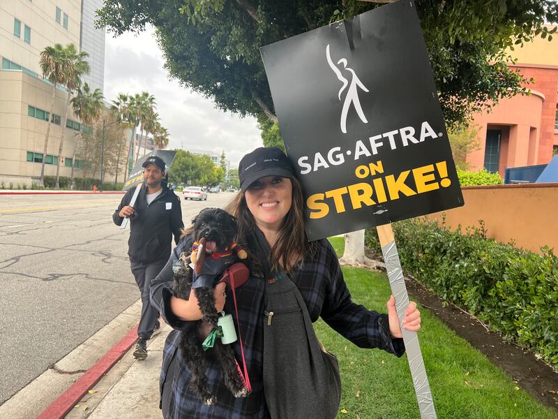 DESCRIBE THE IMAGE FOR ACCESSIBILITY, EXAMPLE: Photo of a chef putting red sauce onto an omelette.