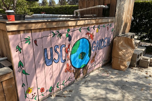 USG approves funds to revive Parkside Garden, USC’s on-campus learning garden