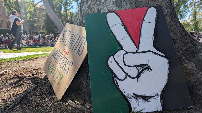 Cardboard signs.