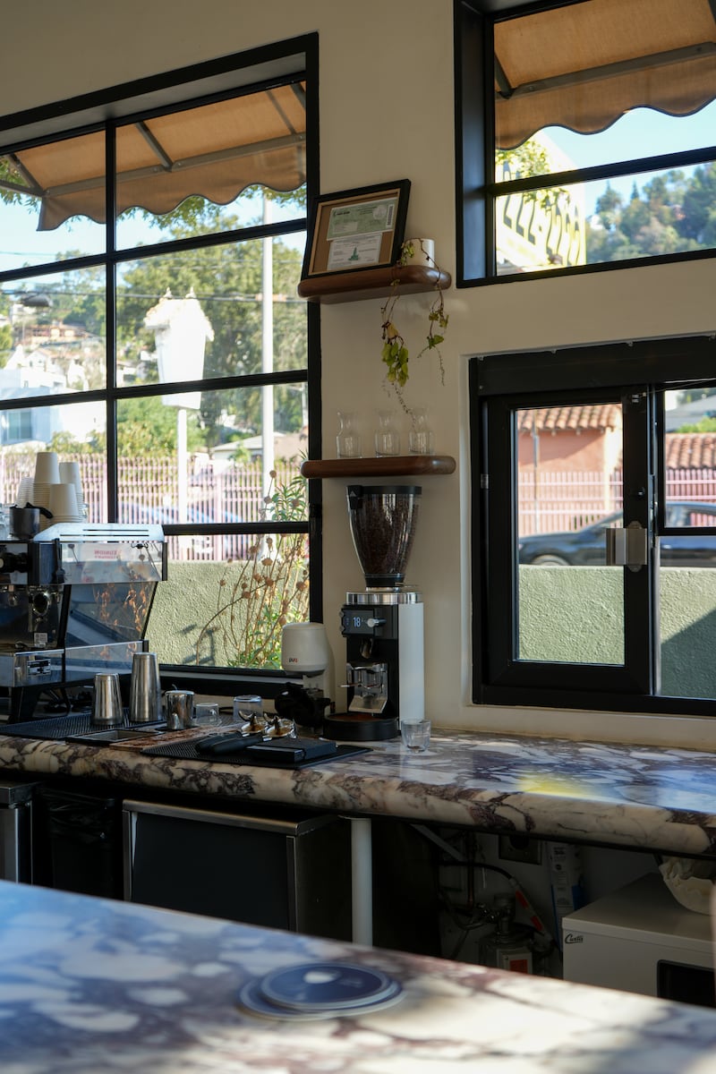 DESCRIBE THE IMAGE FOR ACCESSIBILITY, EXAMPLE: Photo of a chef putting red sauce onto an omelette.