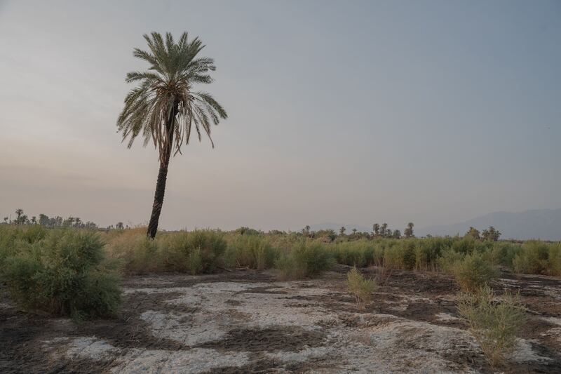 Photos of the Salton Sea.