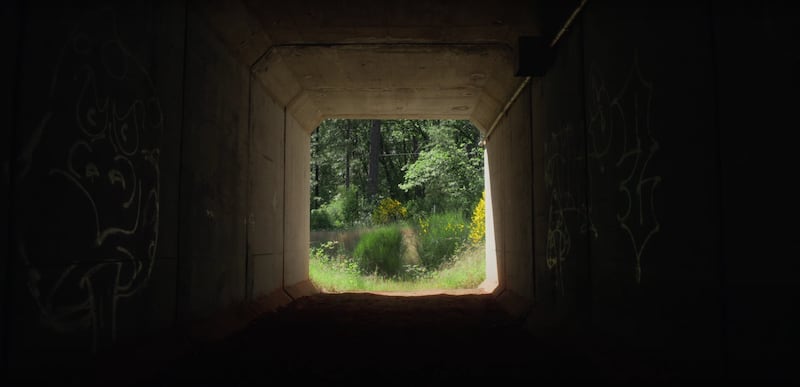 Tunnel wildlife crossing from the film Crossing the Divide.
(Photo courtesy of Director of Photography Ryan Grant)