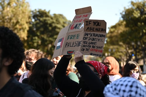 Pro-Palestine protests take place in Los Angeles