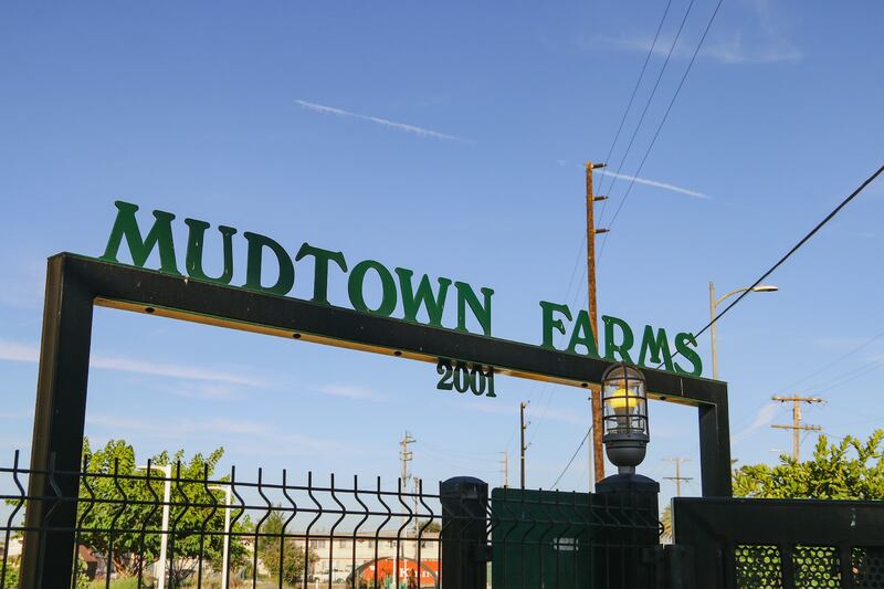 A sign for Mudtown Farms.