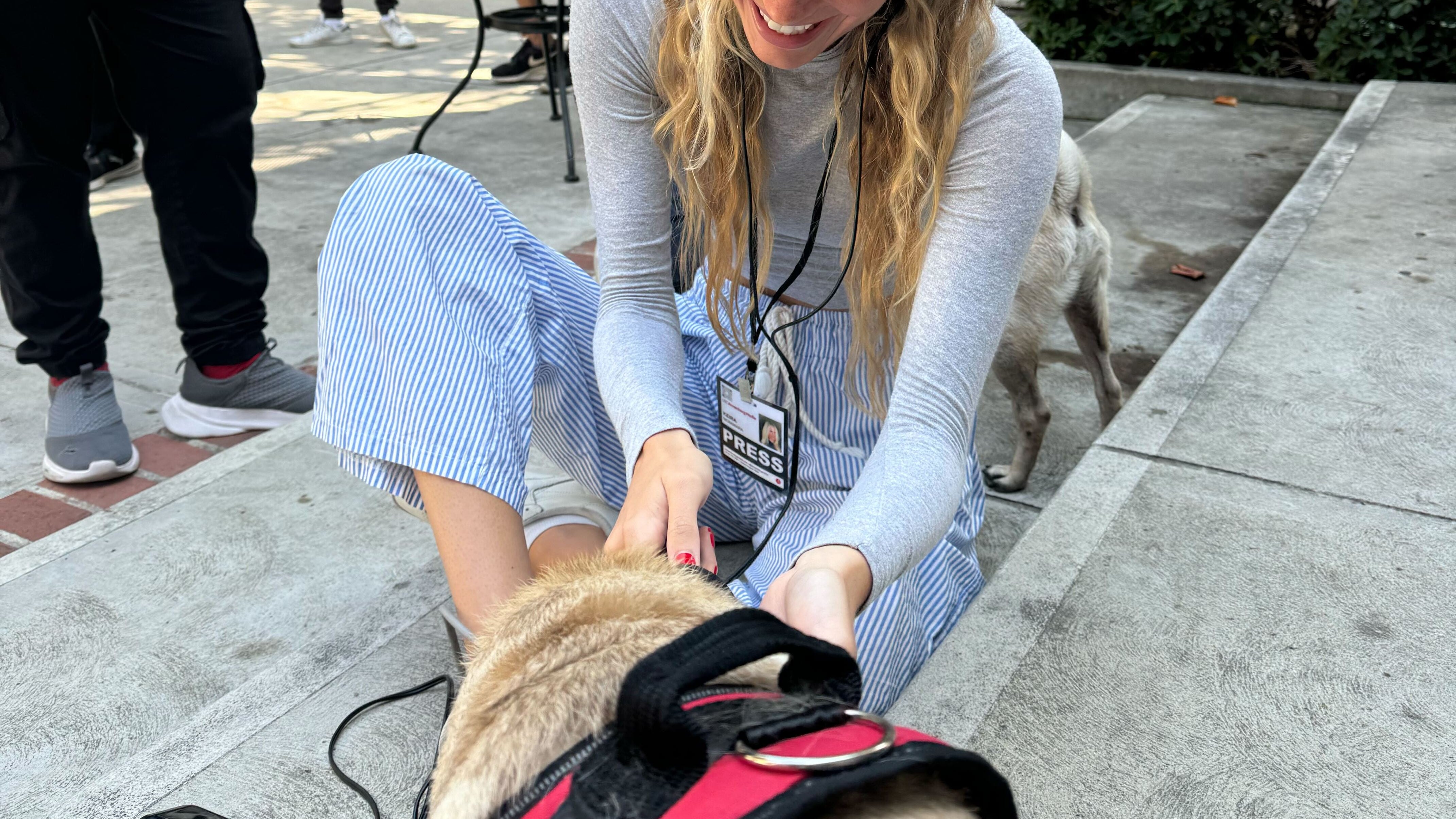 Photo of woman interviewing dog with a microphone.