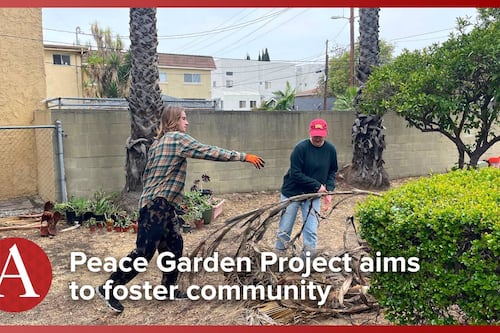 Sowing seeds and community