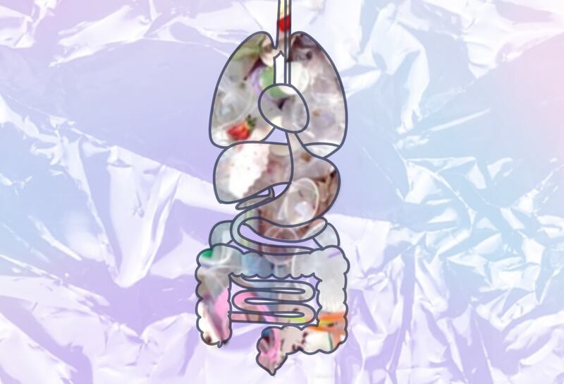 A graphic representing the plastics in our bodies. (Katherine Chen/USC).