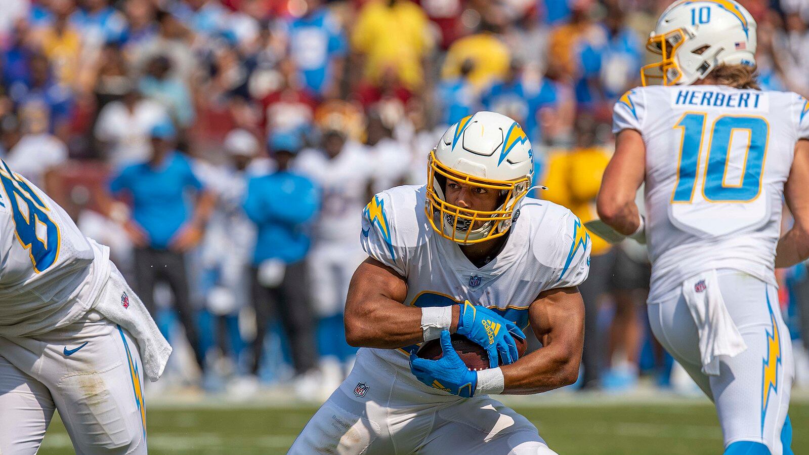 DESCRIBE THE IMAGE FOR ACCESSIBILITY, EXAMPLE: Photo of a chef putting red sauce onto an omelette.