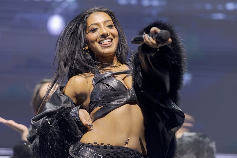 Idol pointing a microphone at the crowd