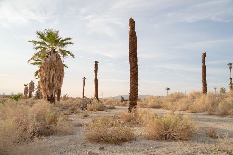 Photos of the Salton Sea.