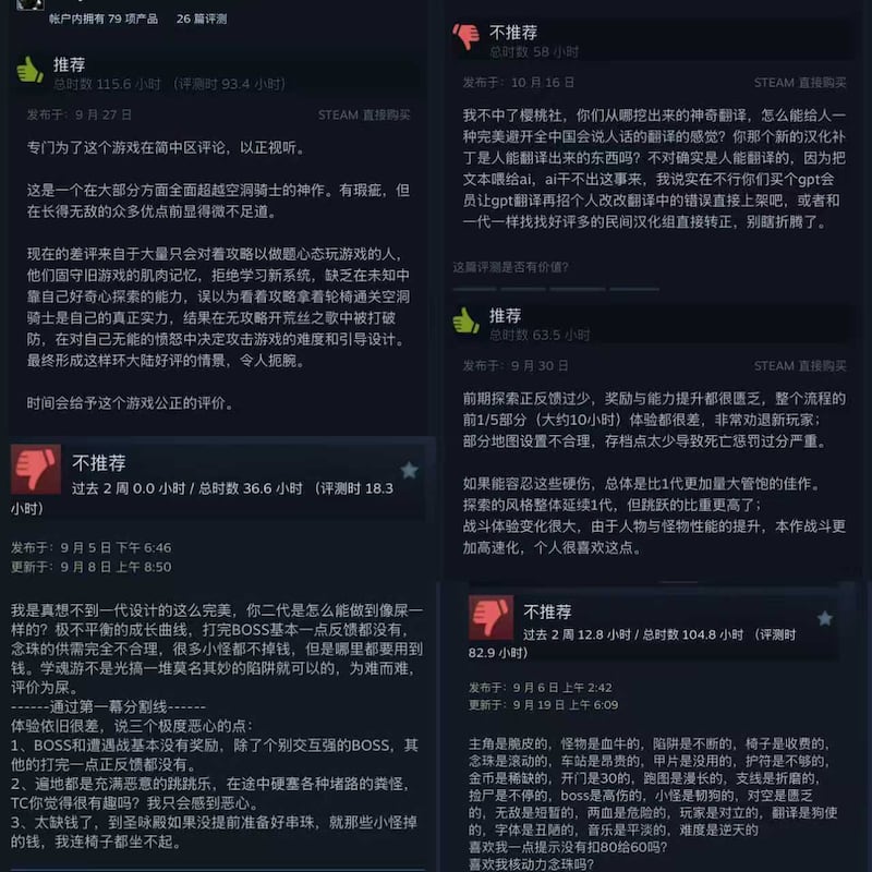 The screenshot of the positive comments on Steam of the game