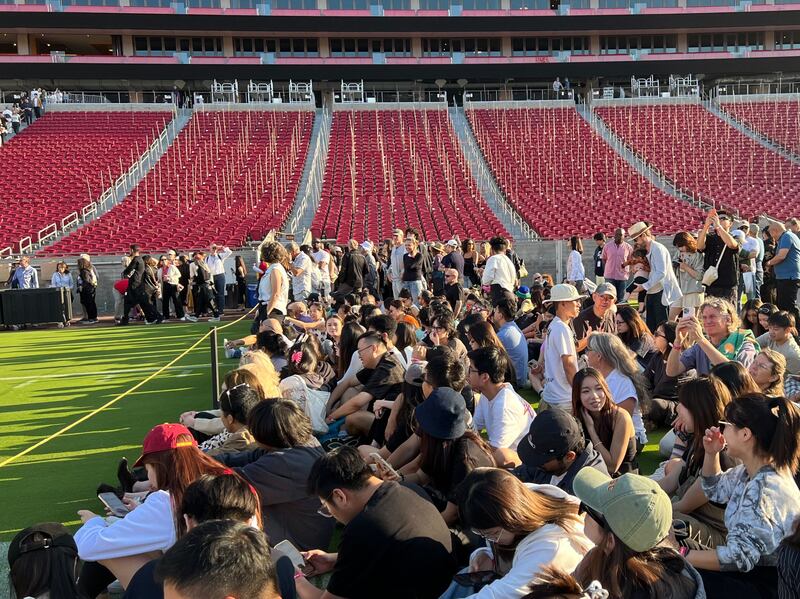 the audience sitting on the grass