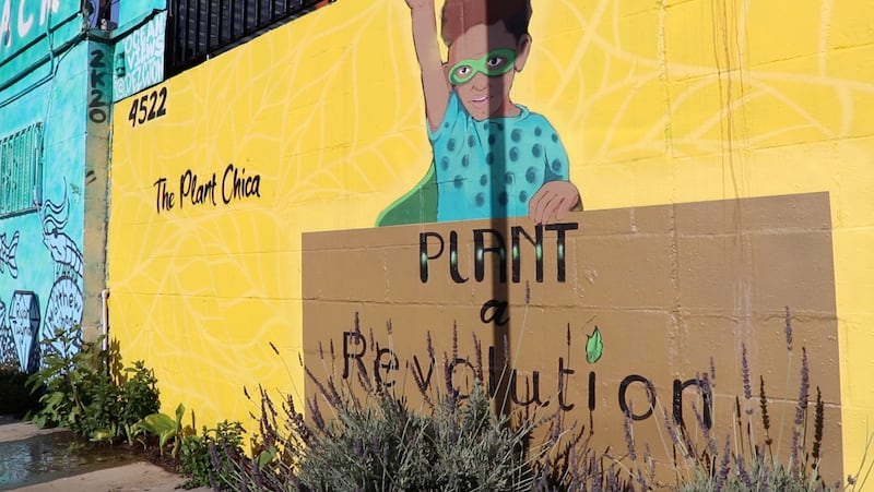 "A photo of the mural outside of The Plant Chica, which reads: 'Plant a revolution.'"