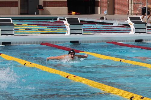 USC in the Olympics: Swim and dive adds 14 to the Trojan tally