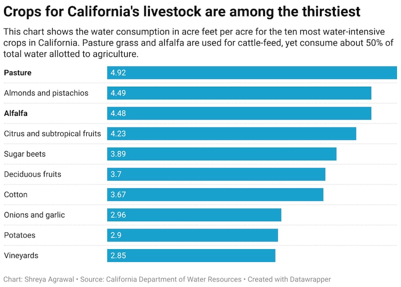 Crops for California's livestock are among the thirstiest.