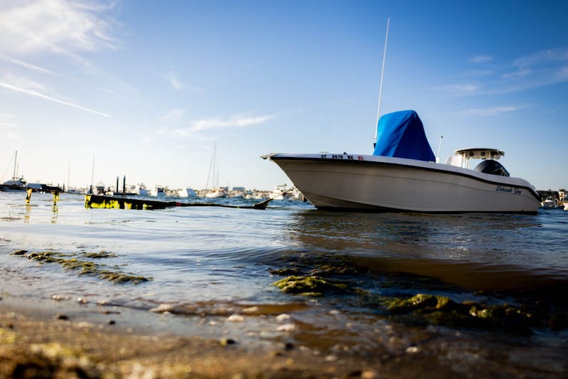 Photo of boat floating in the water with kelp near the shoreline.