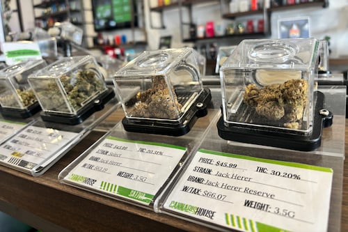 Gov. Newsom signs bill to lower tax rates on cannabis