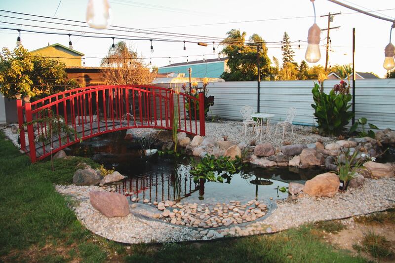 Fish swim in a pond next to the bridge.