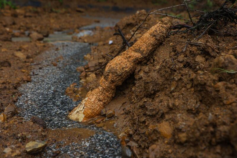 Photos by USC Annenberg Media photojournalists of landslides in Studio City caused by rainfall.