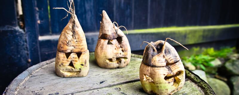 A photo of three turnips with faces carved into them.